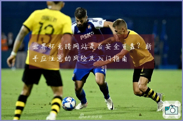 世界杯竞猜网站是否安全可靠？新手应注意的风险及入门指南
