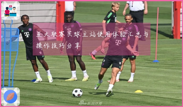 五大联赛买球主站使用体验汇总与操作技巧分享