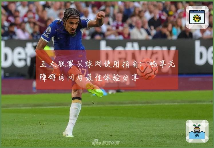五大联赛买球网使用指南：畅享无障碍访问与最佳体验分享