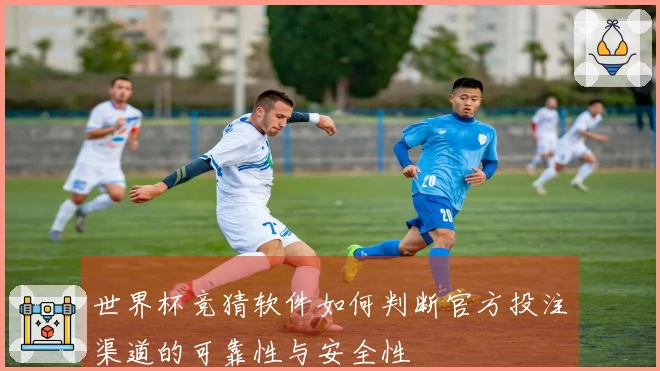 世界杯竞猜软件如何判断官方投注渠道的可靠性与安全性