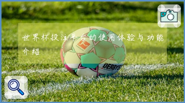 世界杯投注平台的使用体验与功能介绍