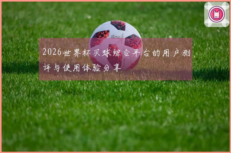 2026世界杯买球综合平台的用户测评与使用体验分享