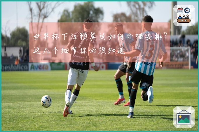 世界杯下注预算该如何合理安排？这几个细节你必须知道