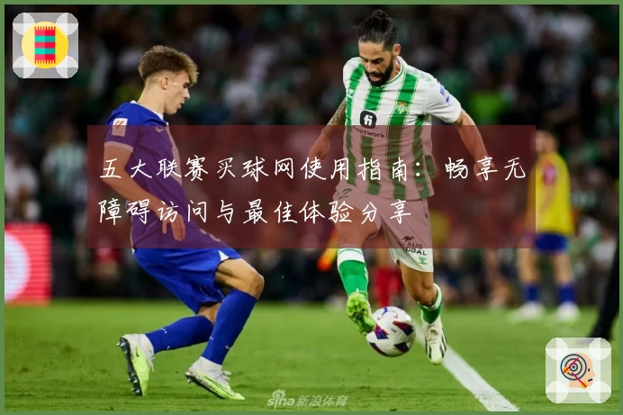 五大联赛买球网使用指南：畅享无障碍访问与最佳体验分享