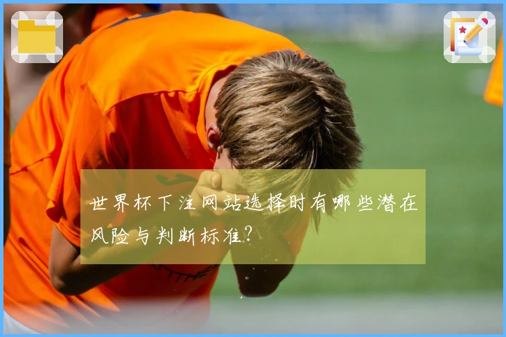 世界杯下注网站选择时有哪些潜在风险与判断标准？