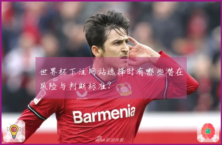 世界杯下注网站选择时有哪些潜在风险与判断标准？