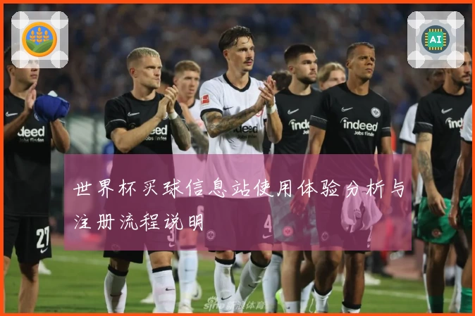 世界杯买球信息站使用体验分析与注册流程说明