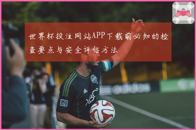 世界杯投注网站APP下载前必知的检查要点与安全评估方法