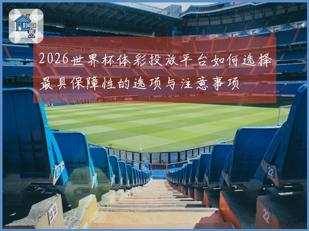 2026世界杯体彩投放平台如何选择最具保障性的选项与注意事项