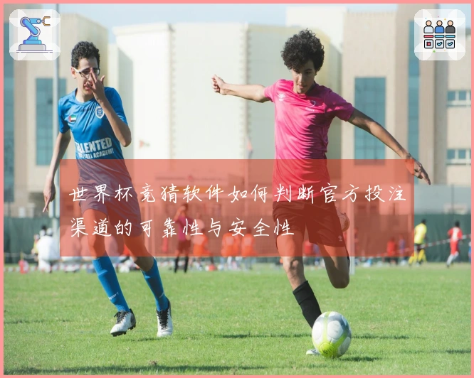 世界杯竞猜软件如何判断官方投注渠道的可靠性与安全性