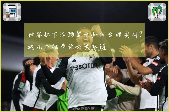 世界杯下注预算该如何合理安排？这几个细节你必须知道