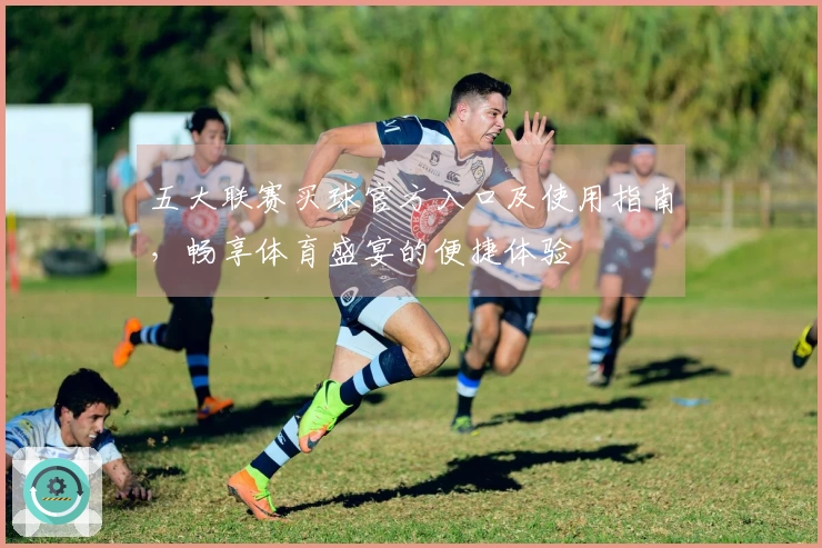 五大联赛买球官方入口及使用指南，畅享体育盛宴的便捷体验
