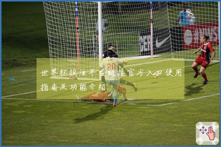 世界杯投注平台链接官方入口使用指南及功能介绍