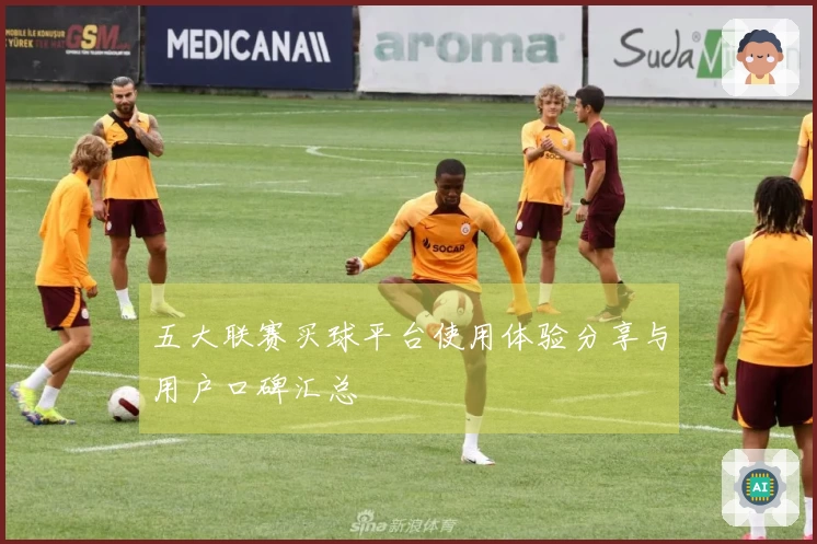 五大联赛买球平台使用体验分享与用户口碑汇总