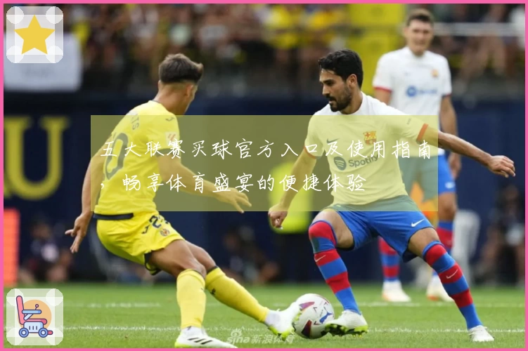 五大联赛买球官方入口及使用指南，畅享体育盛宴的便捷体验