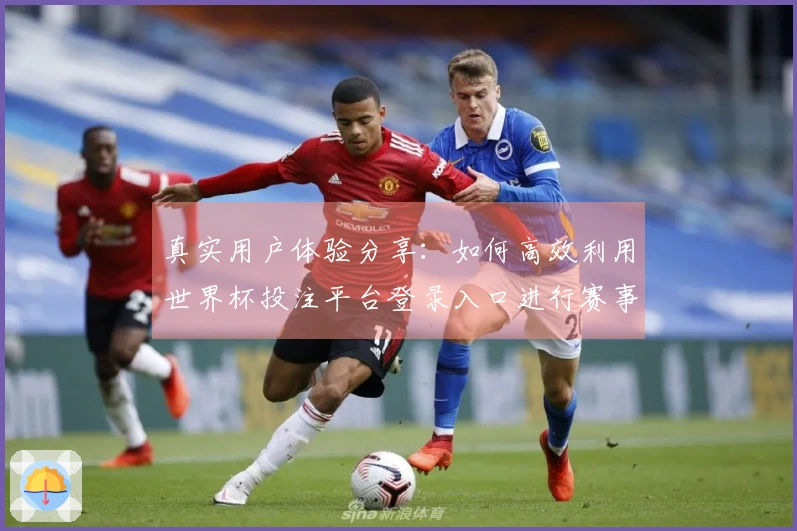 真实用户体验分享：如何高效利用世界杯投注平台登录入口进行赛事观看